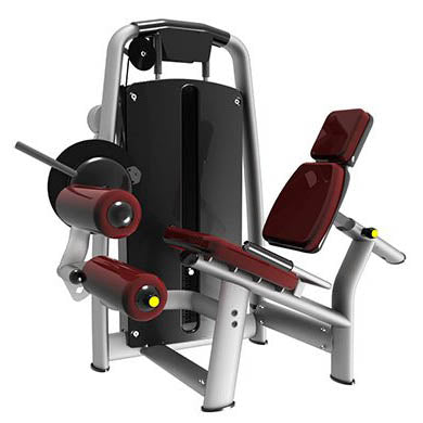 LEG EXTENSION LEG CURL SEDUTO SEL TREZERI COMBO DUAL FUNCTION