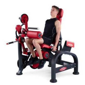 SEATED LEG CURL MACHINE FREE WEIGHT YT