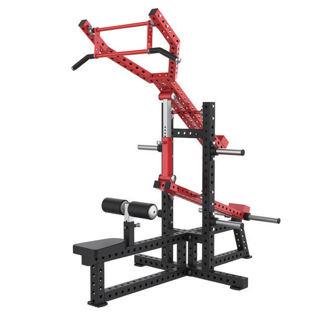 LAT PULLDOWN & TRICEPS DIP PRO YT