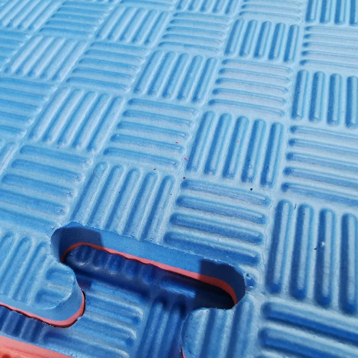 TATAMI PALESTRA PAVIMENTO EVA FLOOR MAT ROSSO BLUE 40MM