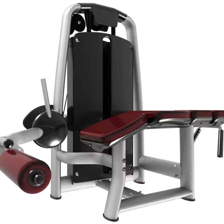 LEG CURL PRONO SEL TREZERI