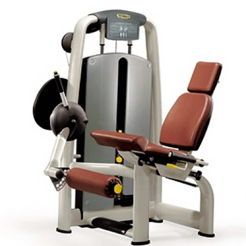 LEG EXTENSION TECHNOGYM SELECTION