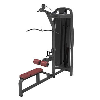 LAT PULLDOWN & PULLEY SEL TREZERI COMBO MACHINE DUAL FUNCTION