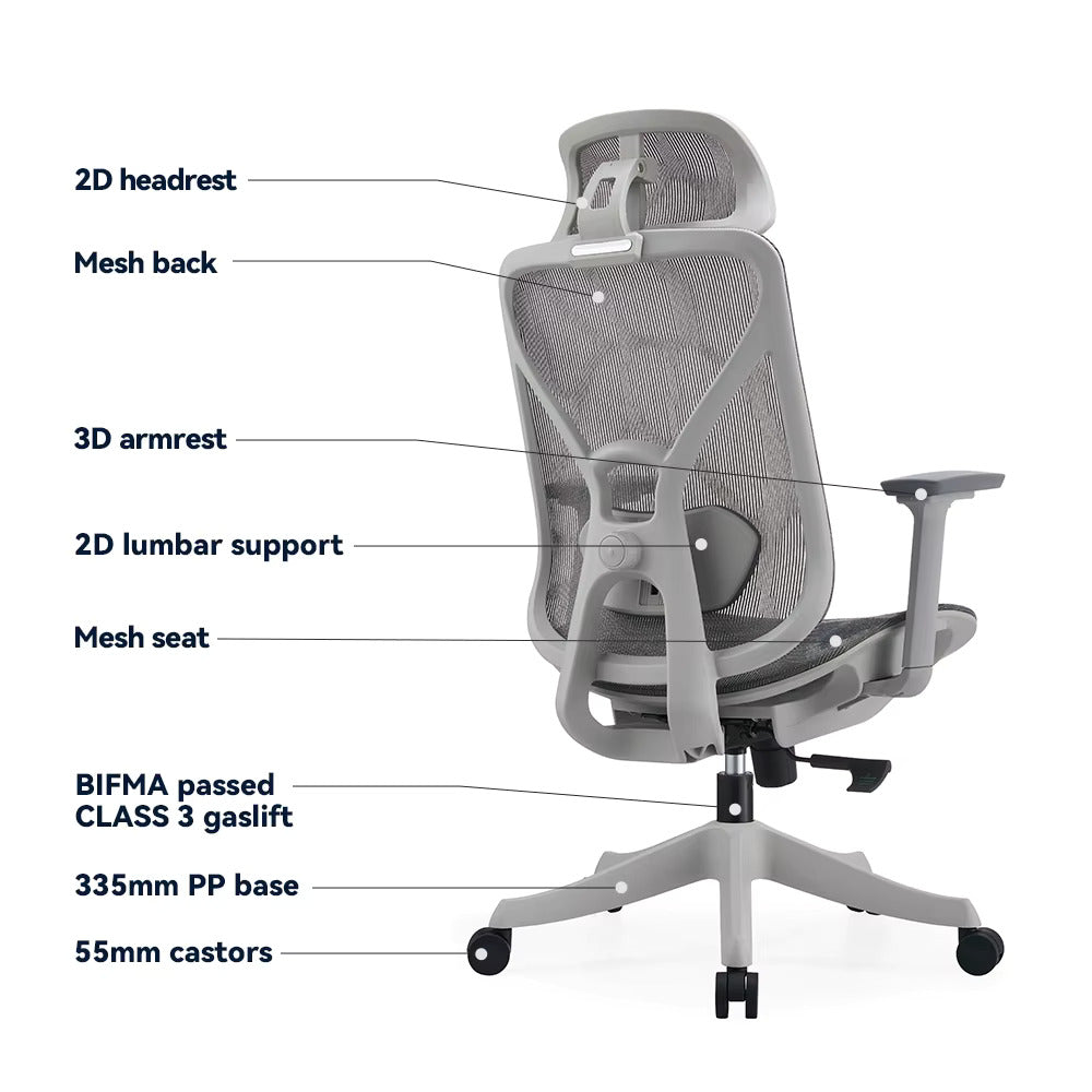 SEDIA ERGONOMICA DA UFFICIO CON SUPPORTO LOMBARE REGOLABILE