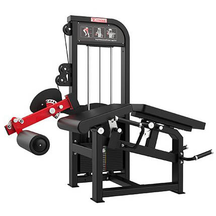 LEG EXTENSION LEG CURL PRONO PRO TREZERI COMBO DUAL FUNCTION
